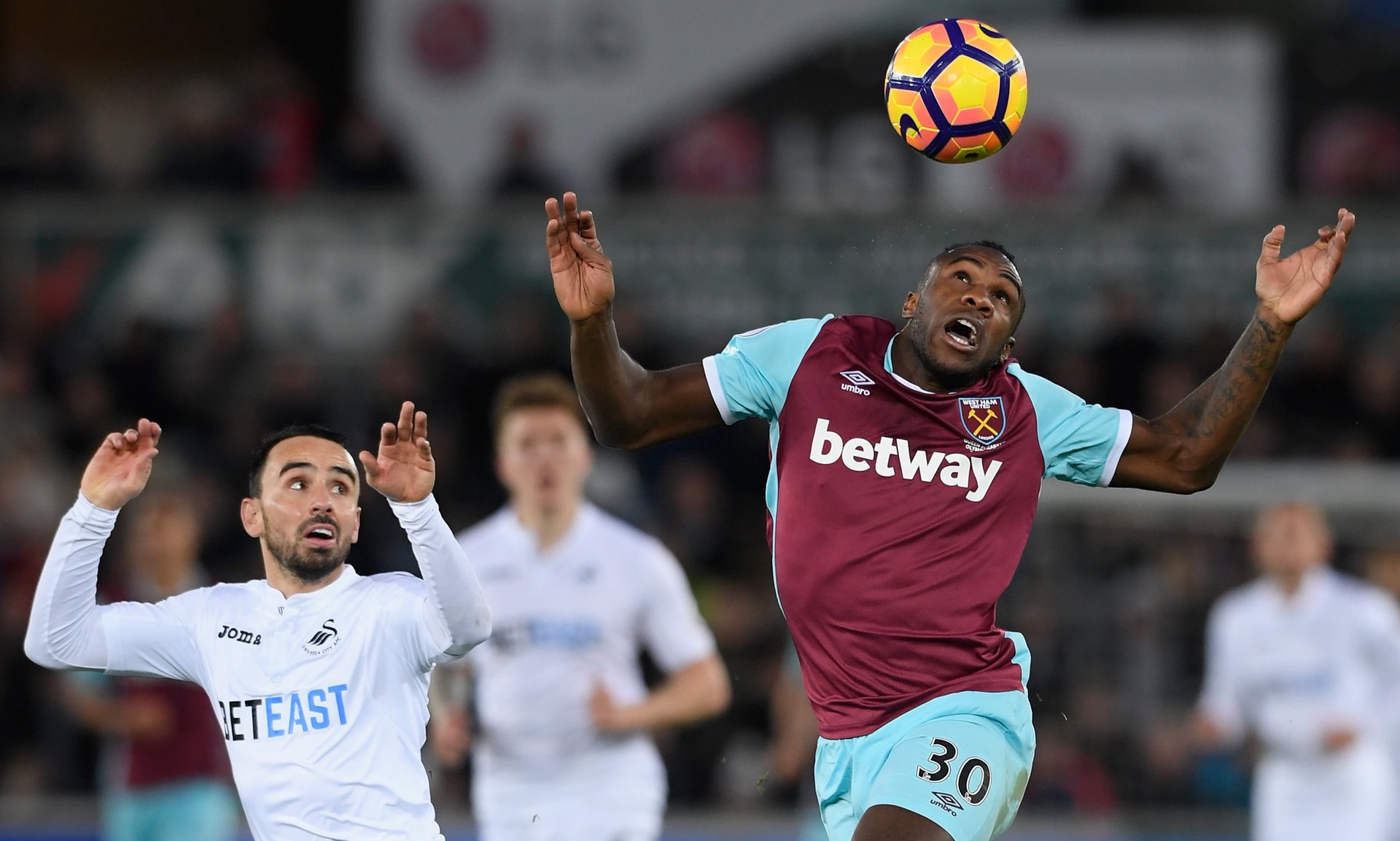 其逝世无疑 其逝世无疑